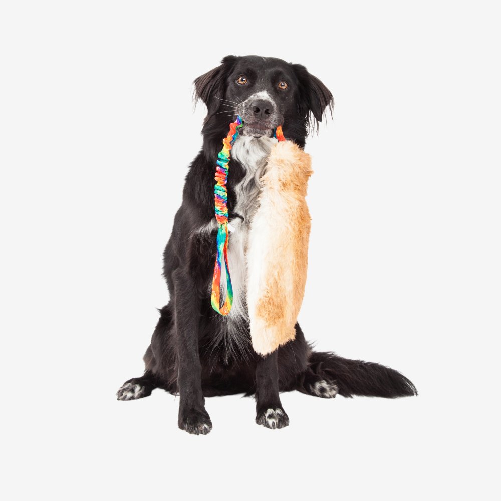 epicpaws-product (5)